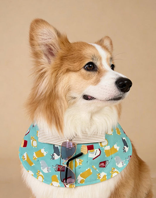 Fresh Corgi Pocket Shirt Pet Scarf product image 2 | GutsDogCom