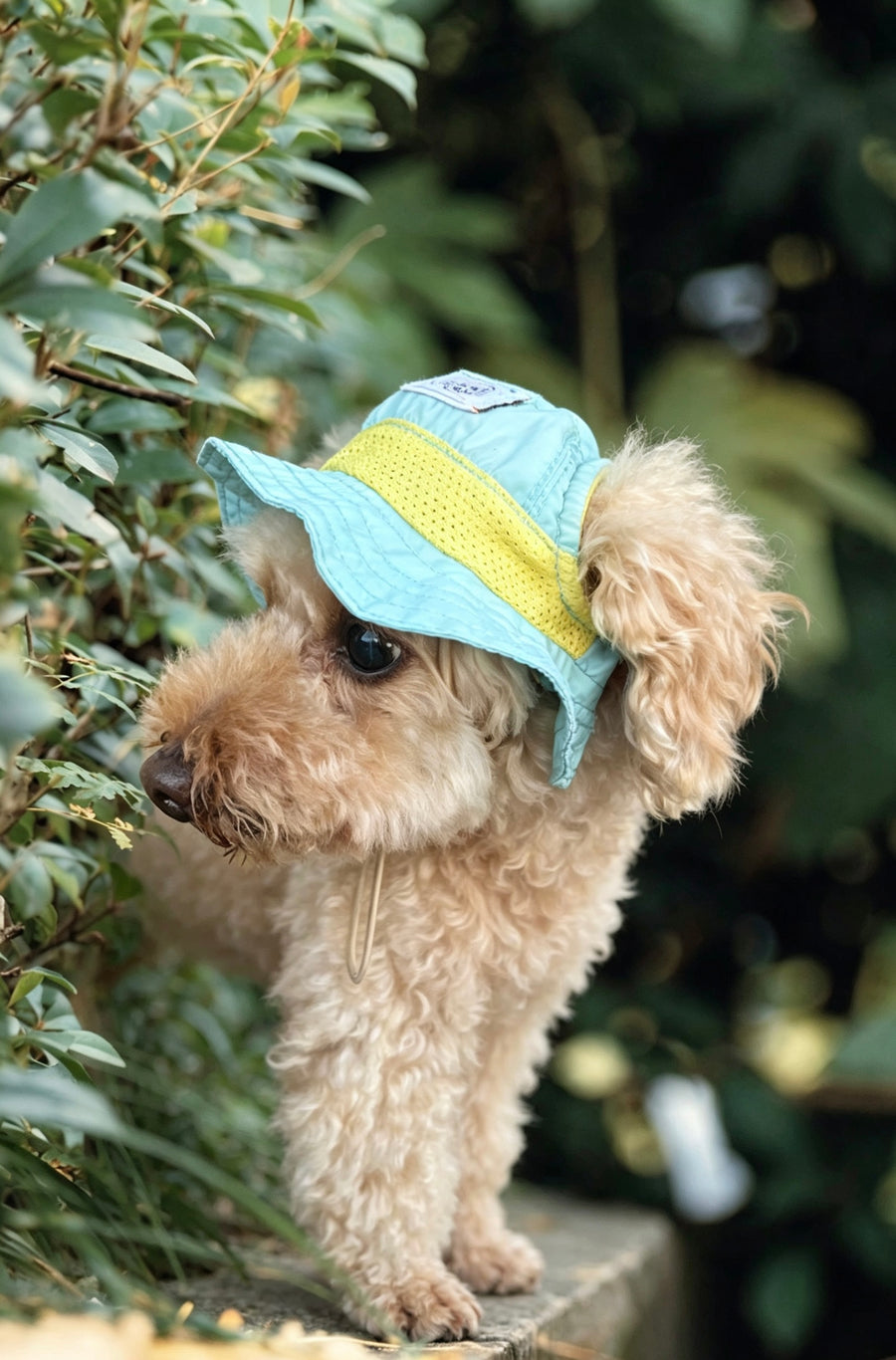Water-Repellent Breathable Bucket Hat (Sky Blue / Yellow)