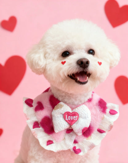 GDC0949 Fall in love 心連心圍巾