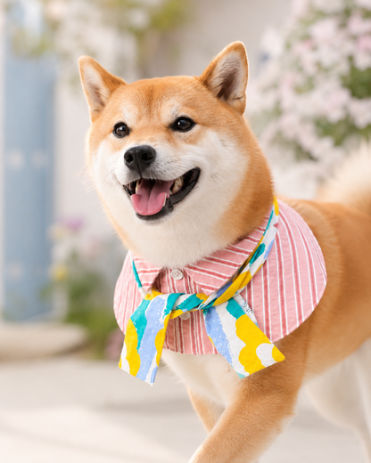 盛夏間條恤衫-男款 Sunny Stripe Shirt Collar Scarf – Boy