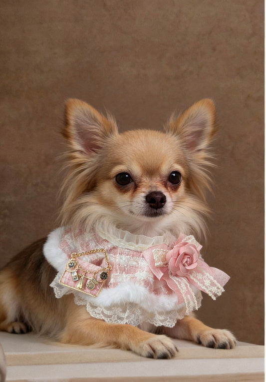 Pink Camellia Tweed Pet Scarf product image 2 | GutsDogCom