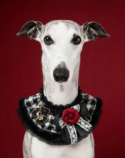 GDC0942 山茶花高貴小香風圍巾（高貴黑）
