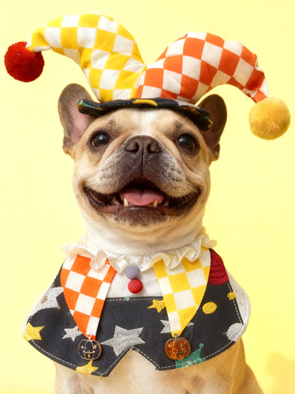 Circus Clown Pet Scarf