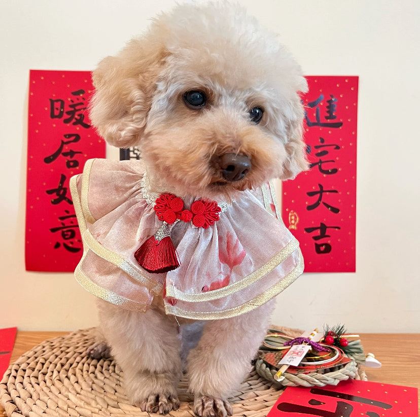 GDC0756 游游金魚中式披紗（香檳配淺金邊）