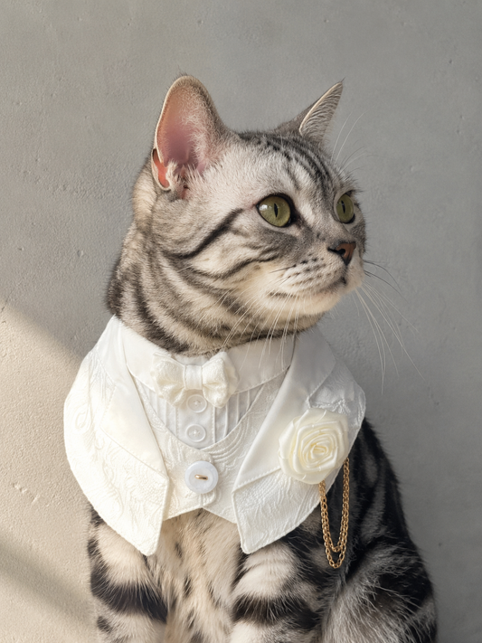 Classical White Attire Scarf