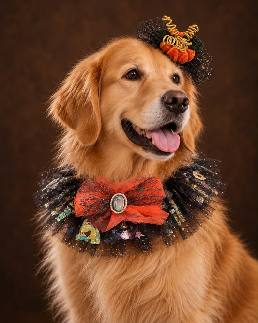 Pumpkin Witch Lace Scarf(with Flashing light)