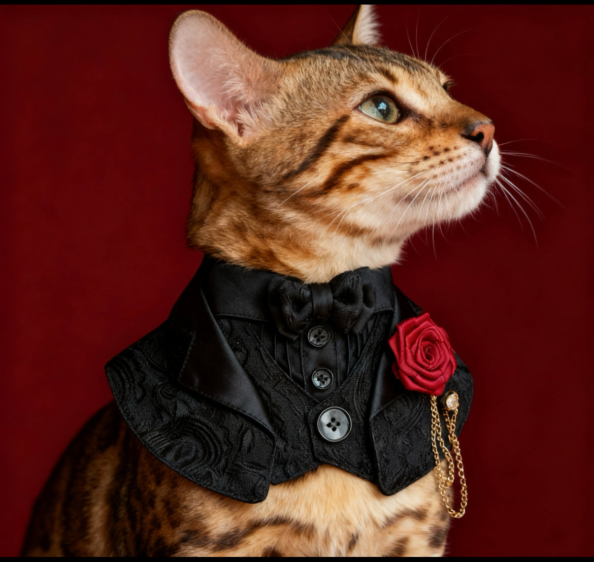 Classical Black Attire Scarf 古典婚禮禮服圍巾（黑色）