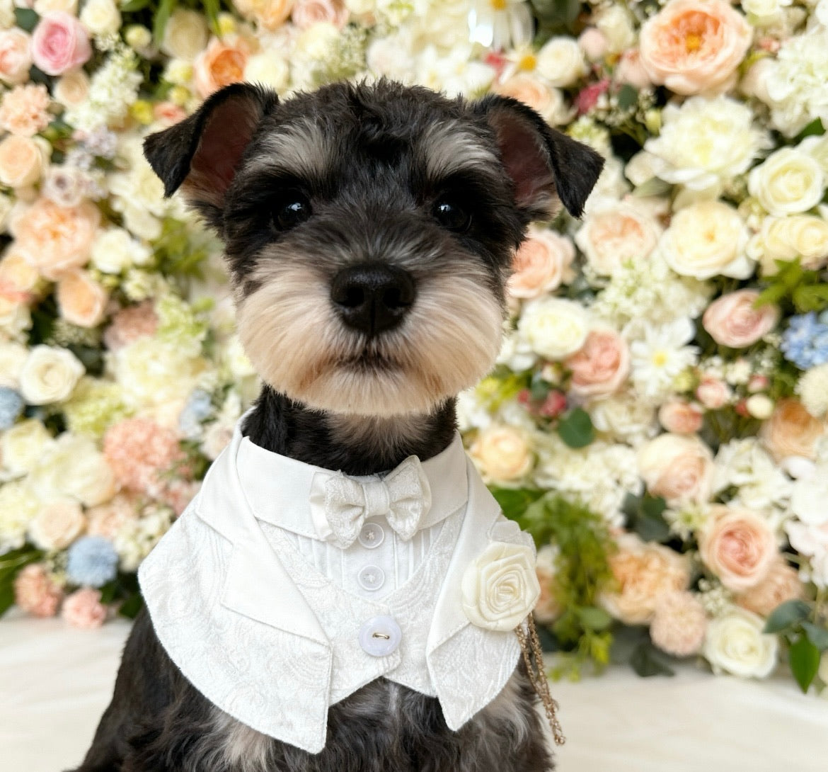 Classical White Attire Scarf 古典婚禮禮服圍巾