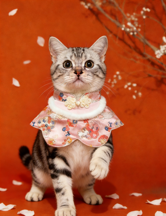Pink Tang Suit Faux Fur Collar Pet Scarf - Girl product image 2 | GutsDogCom