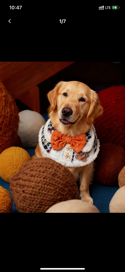 GDC0551 彩格粗毛熊仔恤衫