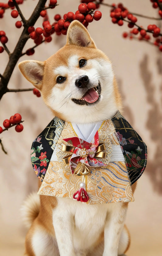 Crimson samurai-inspired pet kimono scarf | GutsDogCom