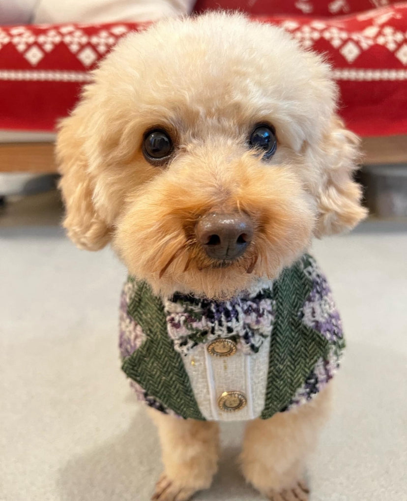 GDC0535 紫綠粗毛西裝圍巾