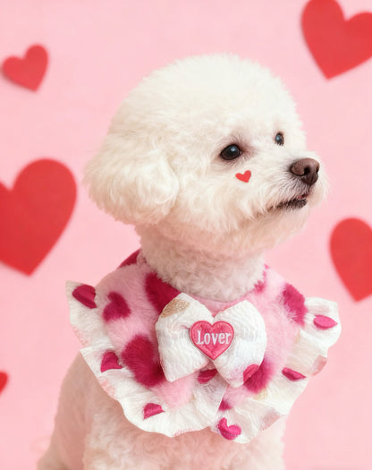 GDC0949 Fall in love 心連心圍巾