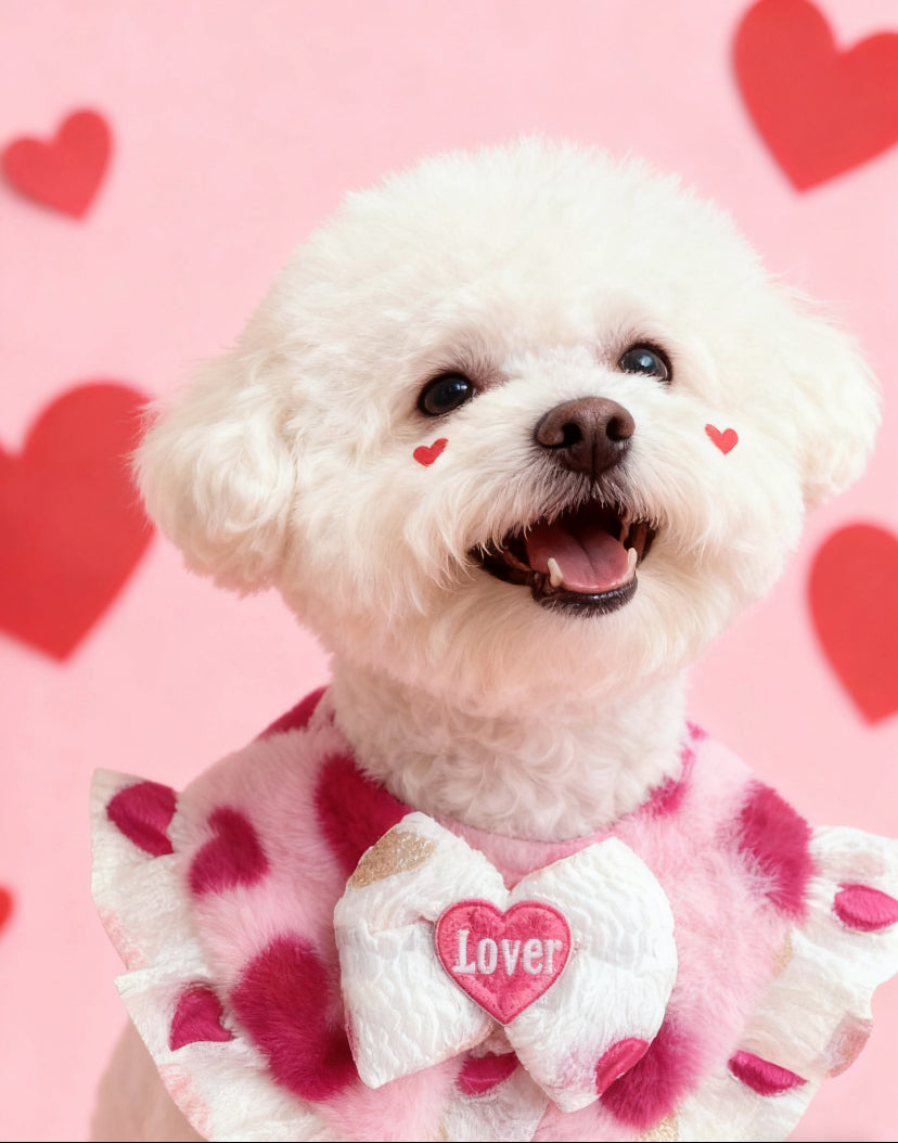 GDC0949 Fall in love 心連心圍巾