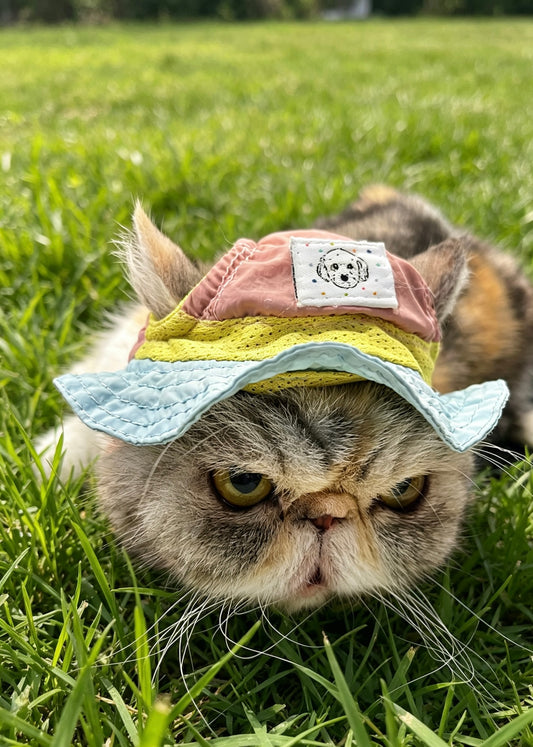 Water-Repellent Breathable Bucket Hat (Pink / Yellow / Blue) product image 2 | GutsDogCom