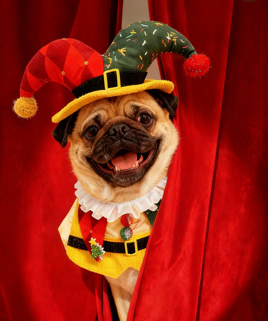 Christmas Joyous Clown Scarf 聖誕歡樂小丑圍巾