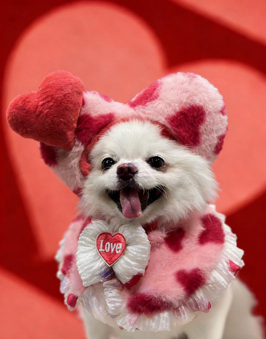 Fall in Love Set product image 2 | GutsDogCom