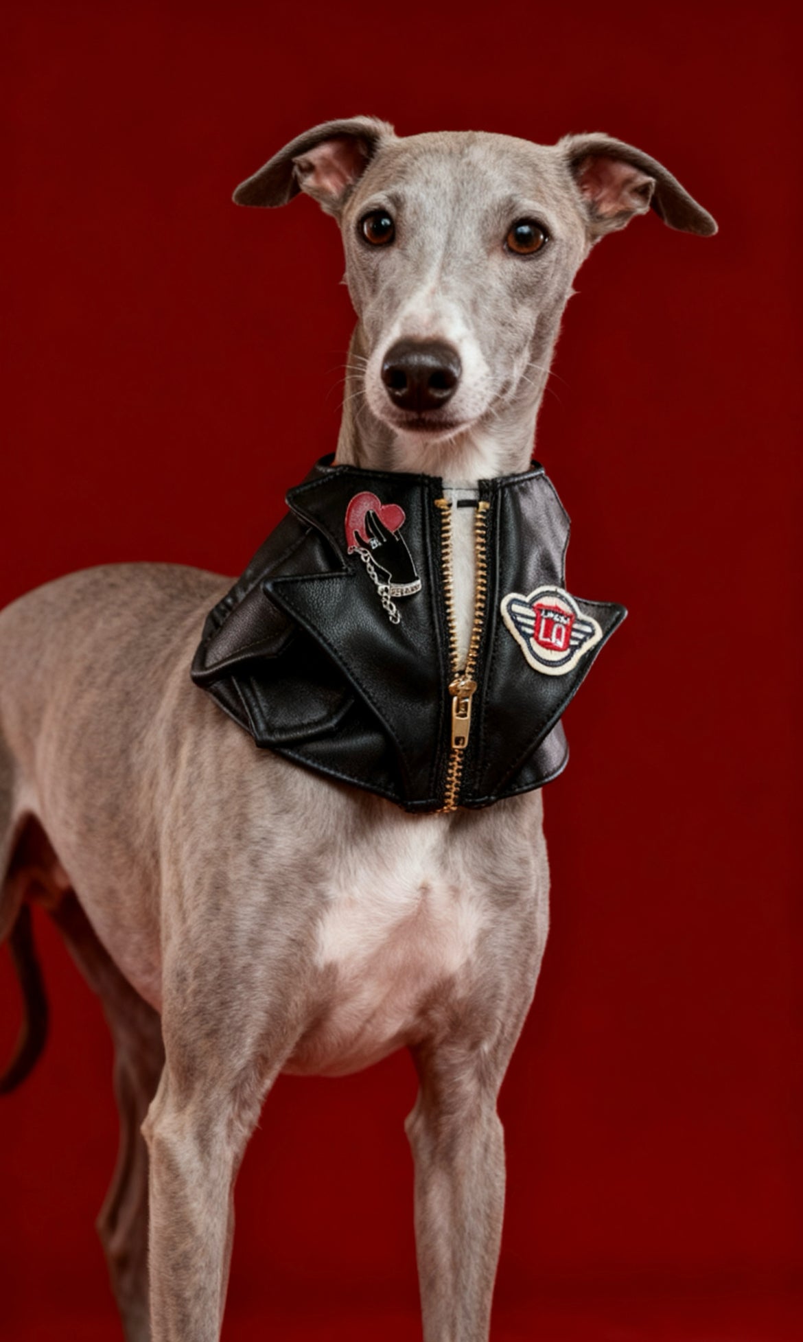 GDC0675 	Rock友皮褸圍巾（黑色）