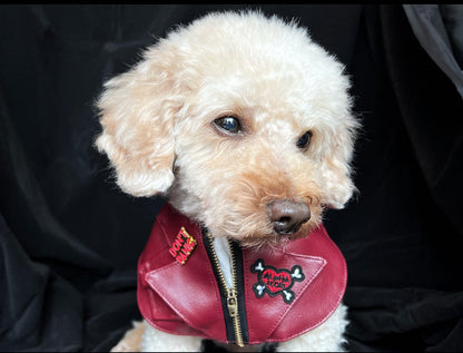 GDC0676 	Rock友皮褸圍巾（暗紅色）