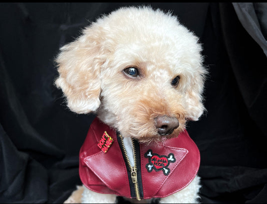 GDC0676 	Rock友皮褸圍巾（暗紅色）