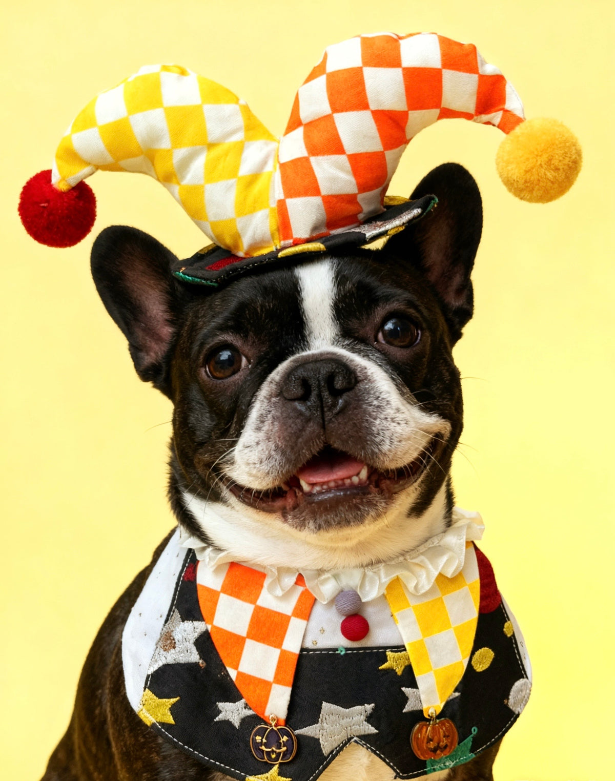 Circus Clown Pet Hat