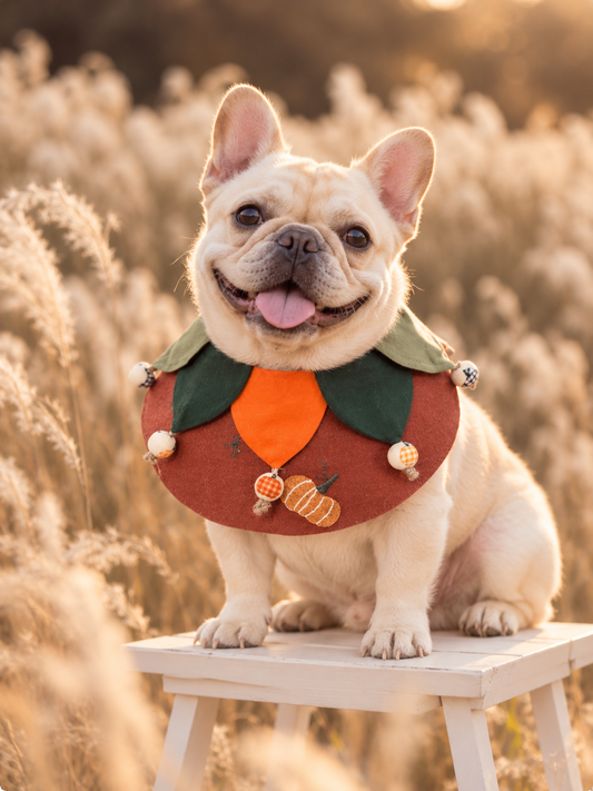 Forest Elf Pet Scarf - Orange