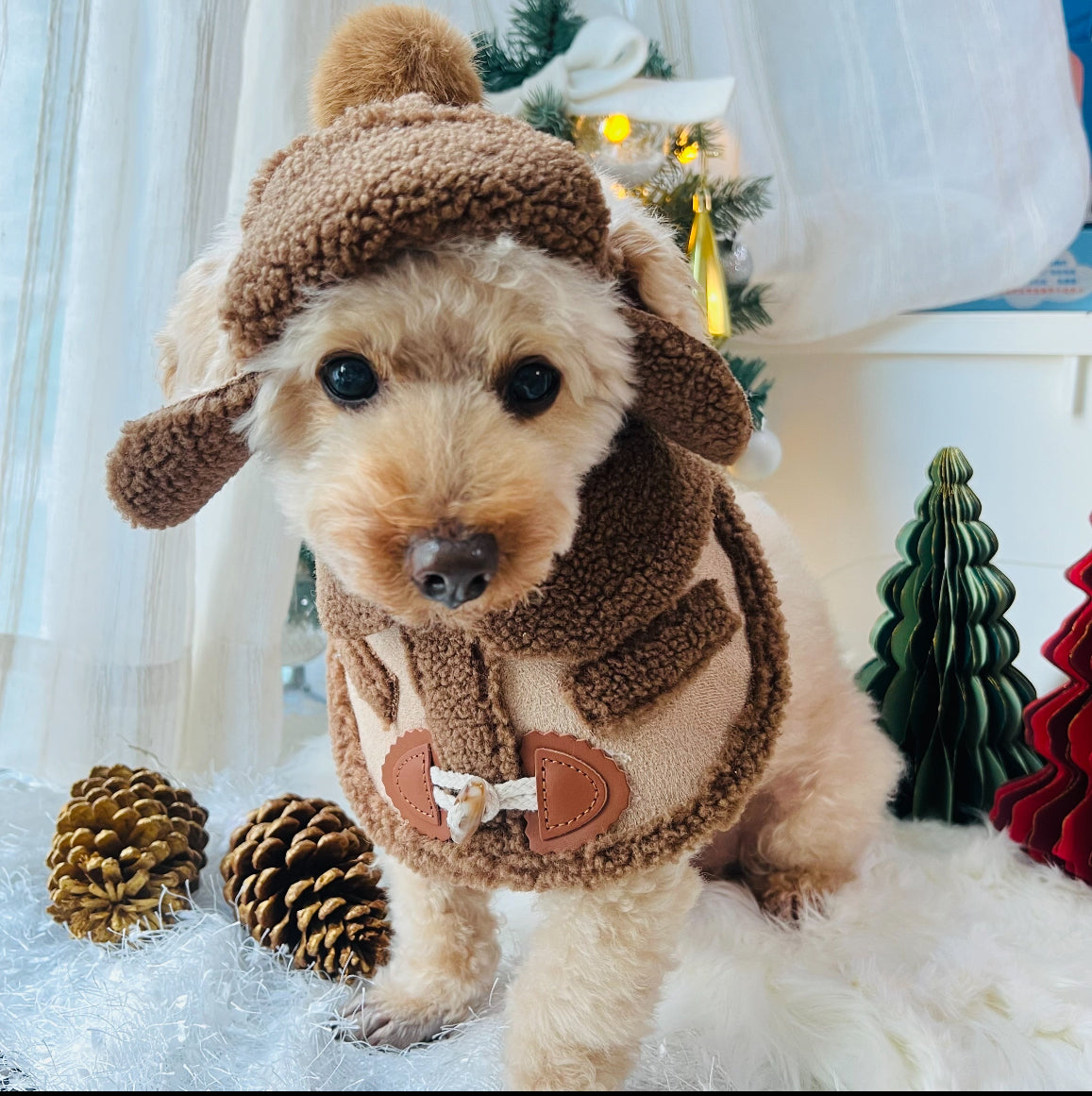 Korean Style Brown Fleece Hat 韓風啡色毛絨帽