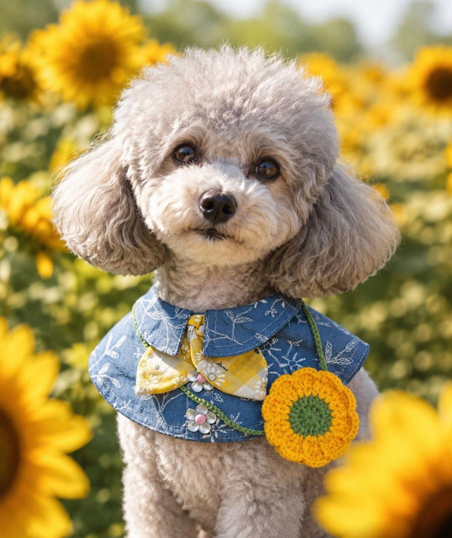Blue Floral Daydream Collar Scarf with Sunflower Pouch