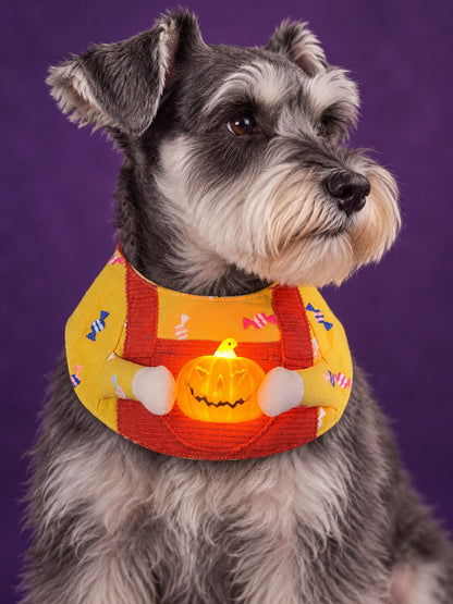 Candy Clown Pet Scarf with Pumpkin - Turmeric Brick Red