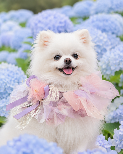 Spring Lavender Fairy Pet Scarf