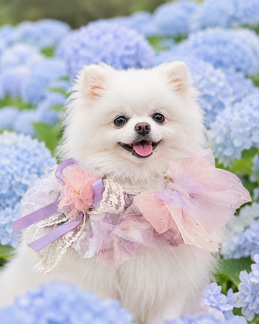 Spring Lavender Fairy Pet Scarf