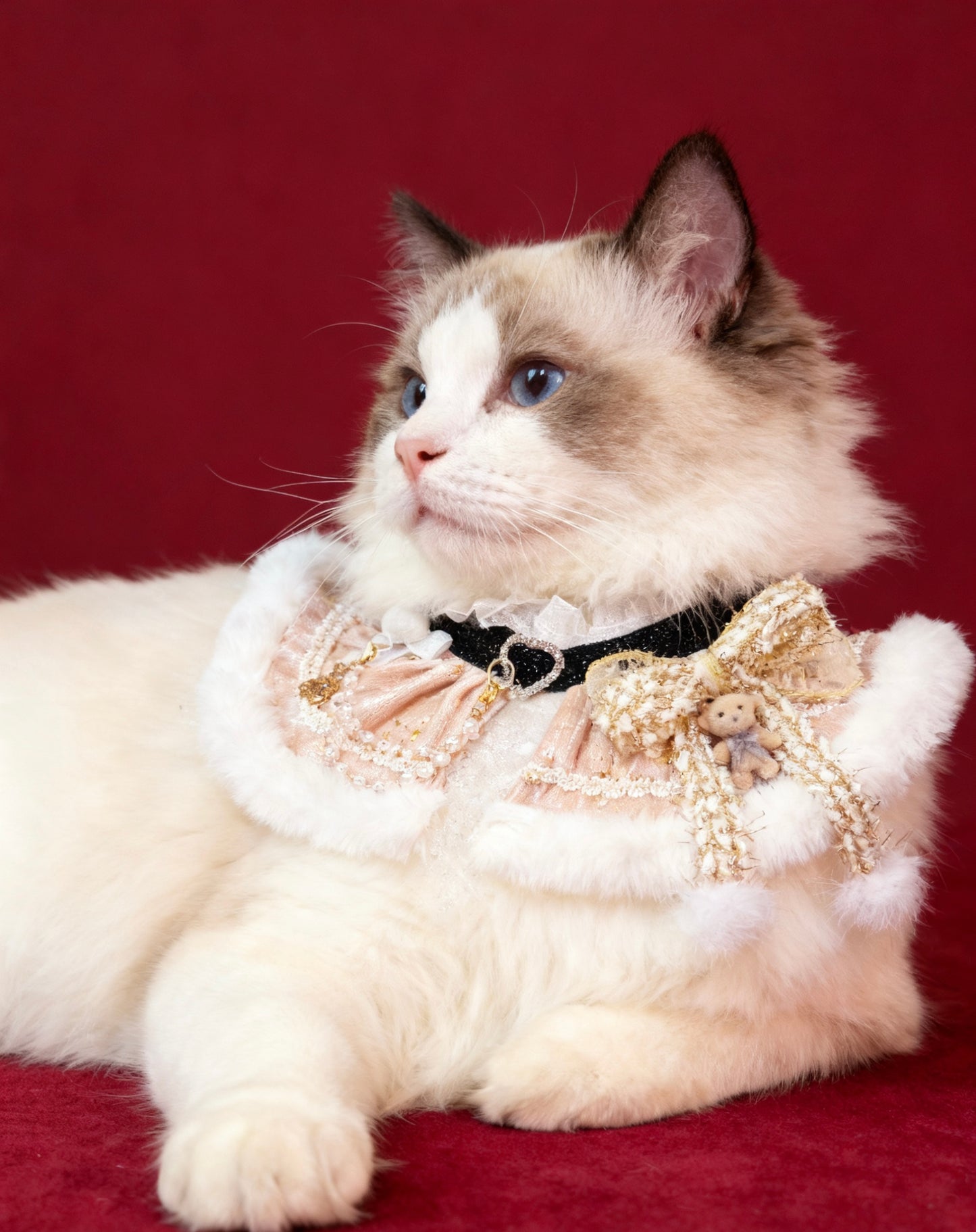 Christmas Gala Ball Scarf (Champagne Gold) 聖誕華麗舞會圍巾 (香檳金)