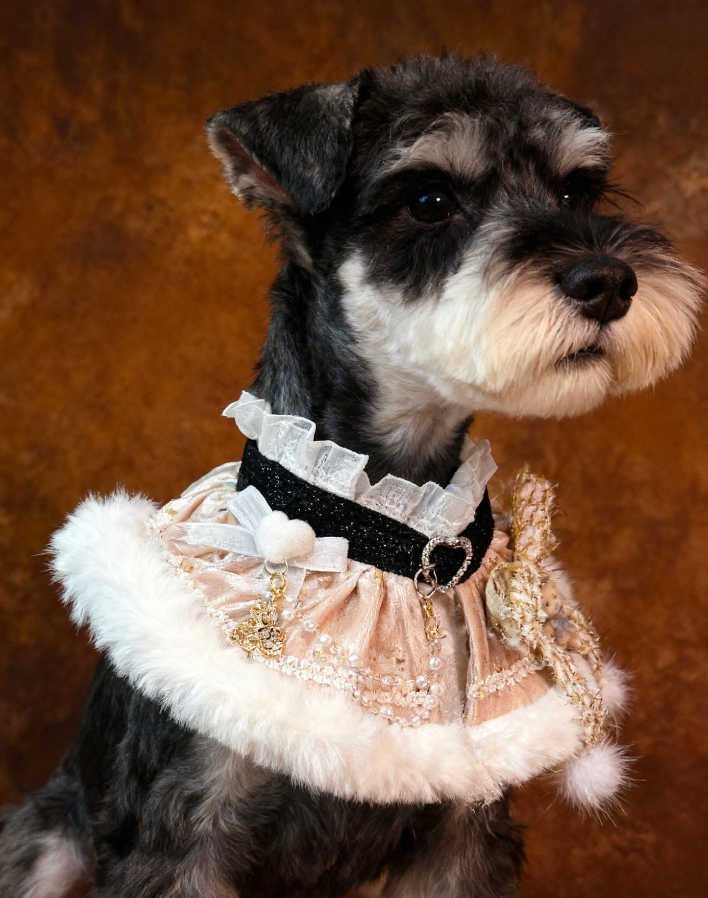 Christmas Gala Ball Scarf (Champagne Gold) 聖誕華麗舞會圍巾 (香檳金)