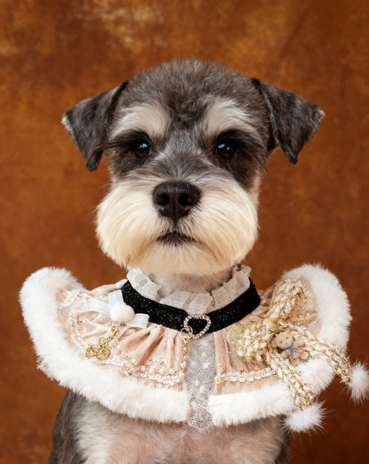 Christmas Gala Ball Scarf (Champagne Gold) 聖誕華麗舞會圍巾 (香檳金)