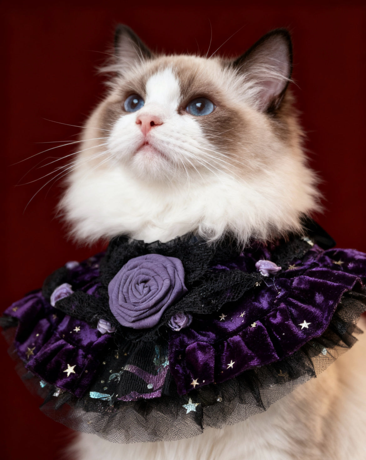 Royal Countess of Rose Scarf (With dark purple starry fabric) 星空玫瑰伯爵夫人圍巾（暗紫色）