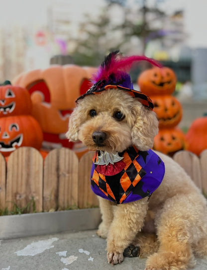 Spooky Vampire scarf