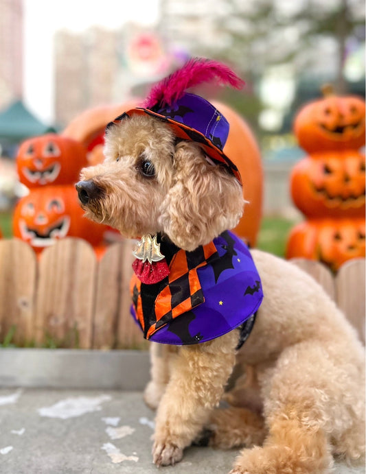Spooky Vampire scarf