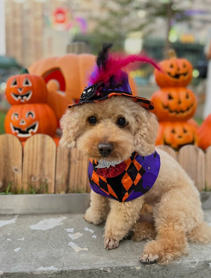 Spooky Vampire scarf